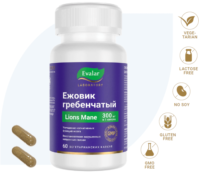 Ежовик гребенчатый 300 мг